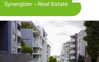 Synergizer – Real Estate Newsletter
