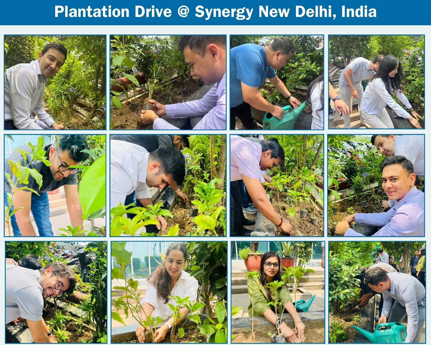 Plantation Drive 2025